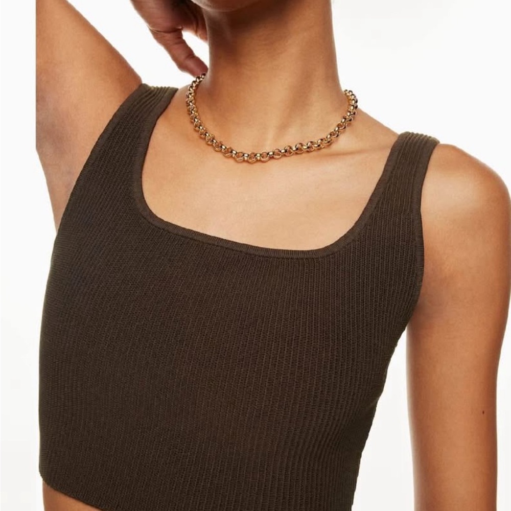 Aritzia Babaton Brown Ribbed Crop Tank Top